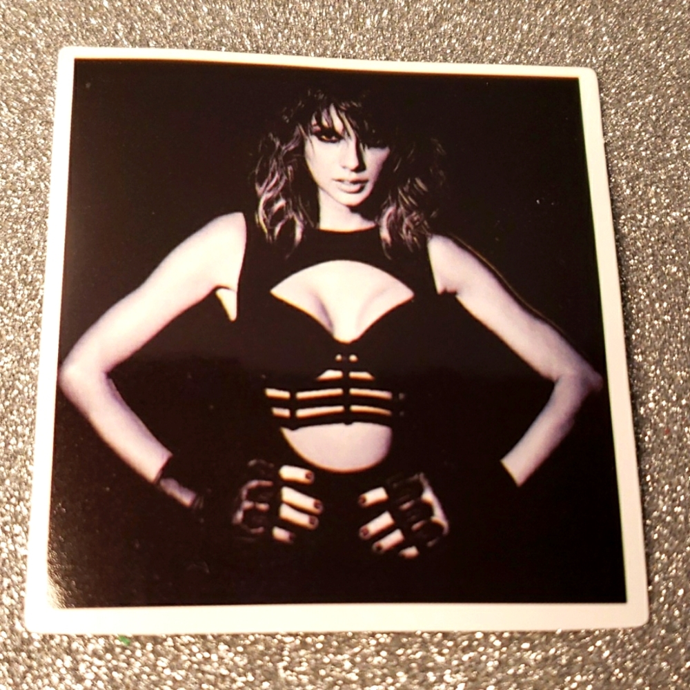 10/$10 Taylor Swift REPUTATION Waterproof Sticker